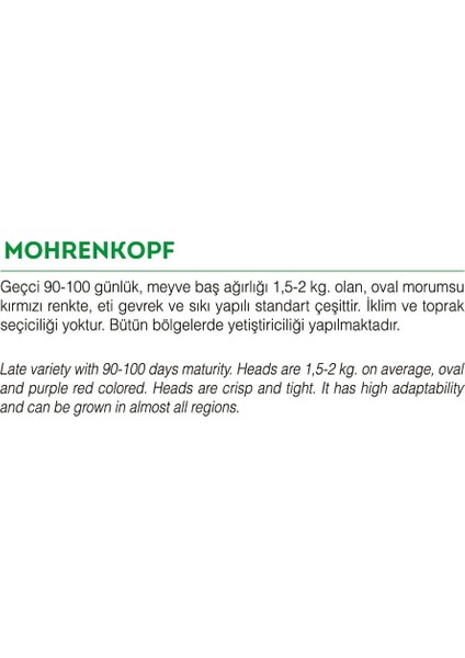 Agrodal Tarım Yerli Doğal Mor Lahana Mohrenkopf 1000 Adet Tohum