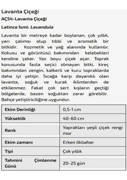 Lavanta Çiçeği Tohumu fiyatları