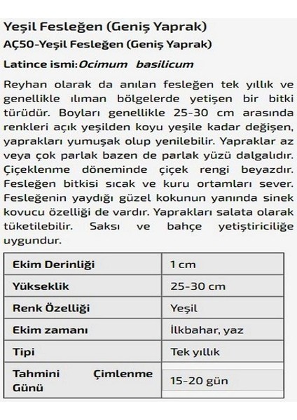 Agrodal Tarım Yeşil Fesleğen (Geniş Yaprak) Çiçeği Tohumu