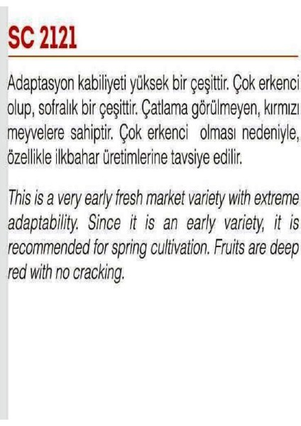 Doğal Standart Sofralık SC-2121 Domates 1000 Adet Tohum