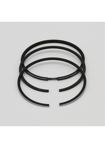 SEGMAN SETİ (0.50-ÇAP:87.50 mm):RUGGERINI/RY 120