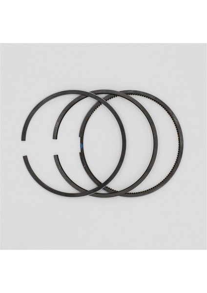 SEGMAN SETİ (0.50-ÇAP:87.50 mm):RUGGERINI/RY 120 fiyatları