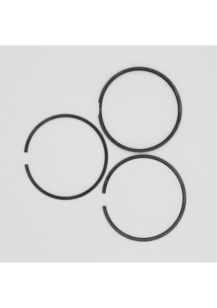 SEGMAN SETİ (0.50-ÇAP:87.50 mm):RUGGERINI/RY 120 modelleri