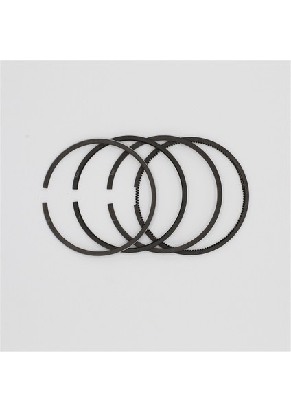 SEGMAN SETİ (1.00-ÇAP:86.00 mm):LOMBARDINI/3LD 510/LDA 450 fiyatları