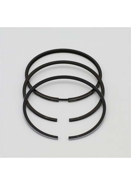 SEGMAN SETİ (0.50-ÇAP:100.50 mm):LOMBARDINI/LDA 832-833-834/5LD 825-2;3;4