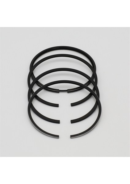 SEGMAN SETİ (1.00-ÇAP:83.00 mm):LOMBARDINI/IM 350/IM 352/IM 359