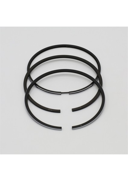 SEGMAN SETİ (0.50-ÇAP:100.50 mm):LOMBARDINI/5LD 824-3/7LD 740-F