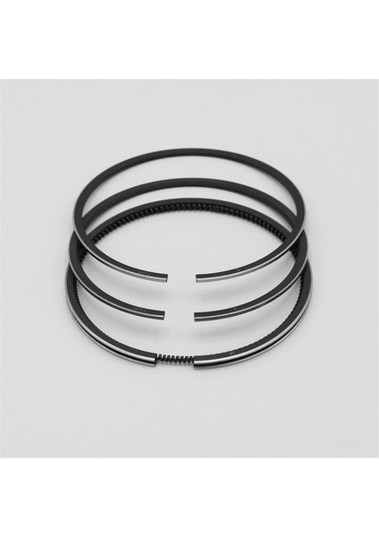 SEGMAN SETİ (0.50-ÇAP:67.50 mm):KUBOTA/Z482/D722