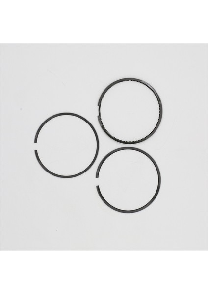 SEGMAN SETİ (0.50-ÇAP:67.50 mm):KUBOTA/Z482/D722
