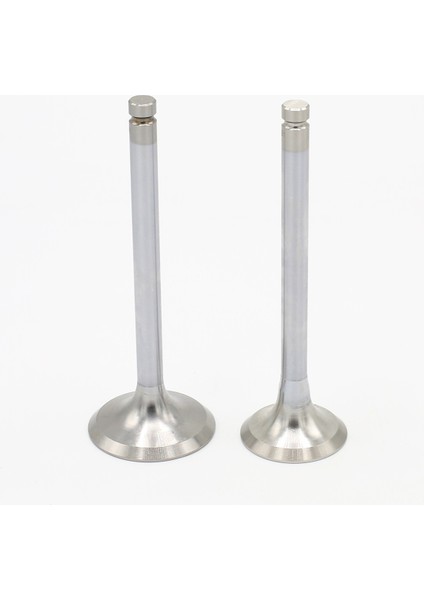 SUBAP SETİ (Em+Eg):LISTER/PETTER/TS