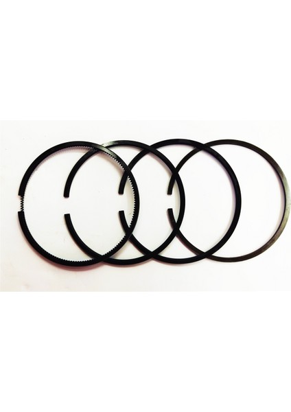 SEGMAN SETİ (0.50-ÇAP:100.50 mm):SAME/LAMBORGHINI/FL 1002/FL 1003