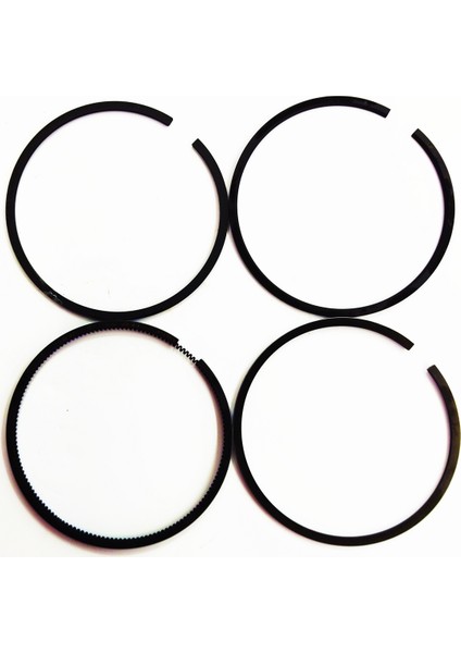 SEGMAN SETİ (0.50-ÇAP:100.50 mm):SAME/LAMBORGHINI/FL 1002/FL 1003 fiyatları