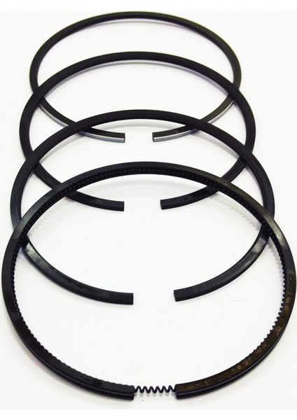 SEGMAN SETİ (0.50-ÇAP:100.50 mm):SAME/LAMBORGHINI/FL 1002/FL 1003 modelleri