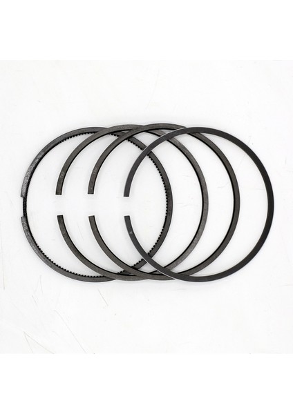 SEGMAN SETİ (1.00-ÇAP:101.00 mm):SAME/LAMBORGHINI/1003 P/1004 P/1006 P fiyatları