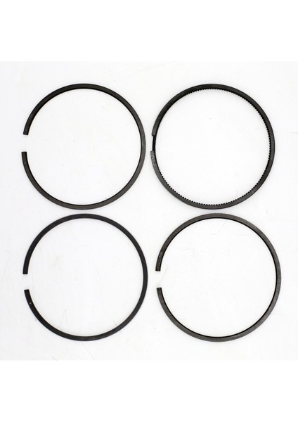 SEGMAN SETİ (1.00-ÇAP:101.00 mm):SAME/LAMBORGHINI/1003 P/1004 P/1006 P modelleri