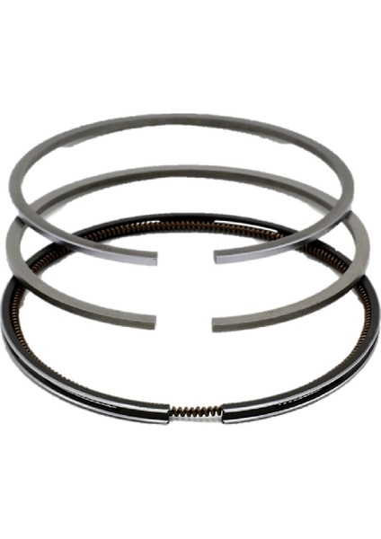 SEGMAN SETİ (1.00-ÇAP:88.31 mm):LISTER/PETTER/PH-1/PH-2/PHW-1/PHW-2