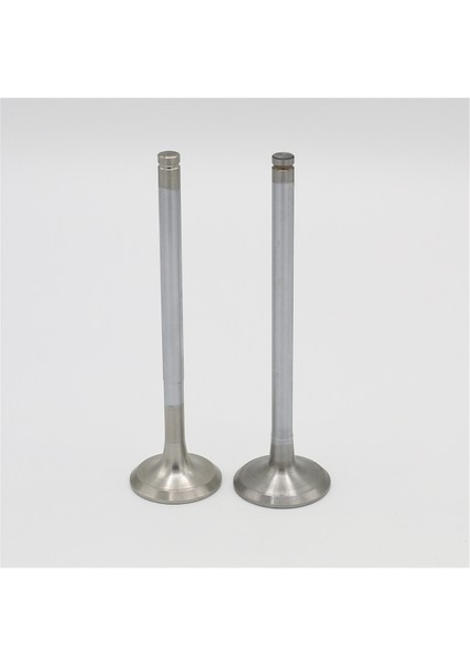 KAM MİLİ BURCU (DIŞ):SAME/LAMBORGHINI / 1000.3 / 1000.4 /1000.6-A-AT-ATI-W-WT-WTI