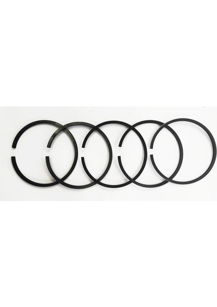 SEGMAN SETİ (STD-ÇAP: 98.00 mm):MWM/AKD-12/AKD-112