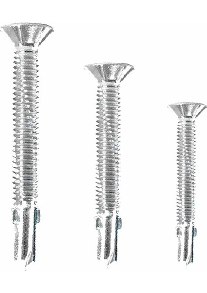 6.3X60 Konteyner Vidası 100 Adet