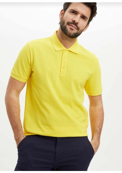 MaviMoure Erkek Polo Yaka T-Shirt