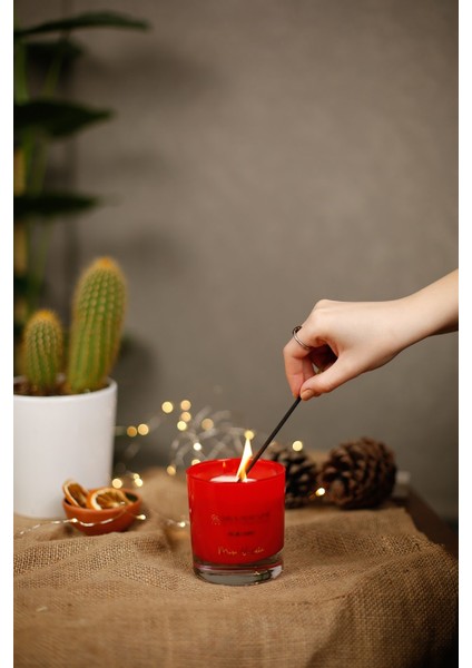 Musc Vanilla Kokulu Mum 220 Gr. fiyatları