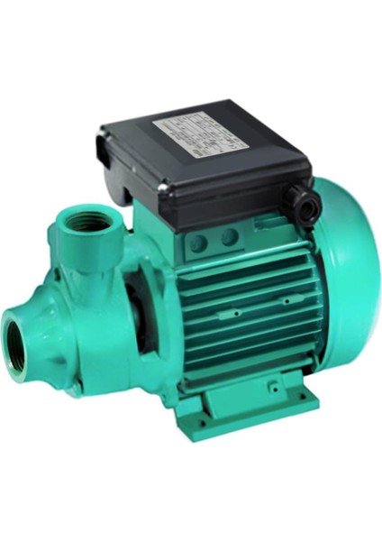 Pv 50M Döküm Gövdeli Preferikal Pompa 0.8 Hp 60 Mss 3 M³/h 220 Volt