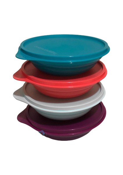 4'lü Bon Bon 550ML Kapasite Saklma Kabı