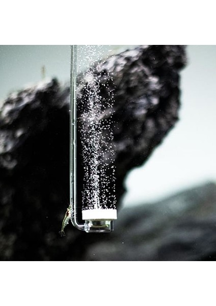 Aquario Neo Air Special M fiyatları