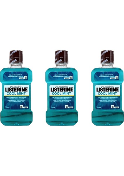 Cool Mint Naneli 250 ml x 3 Adet