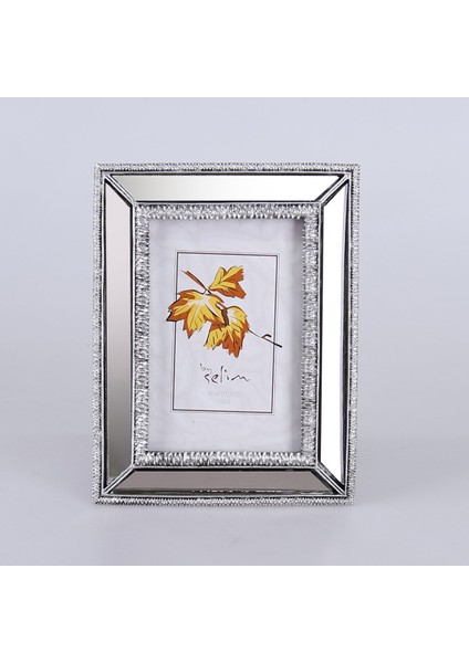 10X15 Elsira Aynalı Çerçeve Gümüş