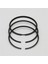 SEGMAN SETİ (0.50-ÇAP:100.50 mm):LOMBARDINI/LDA 832-833-834/5LD 825-2;3;4 1