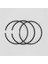 SEGMAN SETİ (0.50-ÇAP:100.50 mm):LOMBARDINI/LDA 832-833-834/5LD 825-2;3;4 2