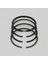 SEGMAN SETİ (1.00-ÇAP:83.00 mm):LOMBARDINI/6LD 360/LDA 530 1