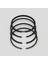 SEGMAN SETİ (1.00-ÇAP:83.00 mm):LOMBARDINI/IM 350/IM 352/IM 359 1