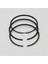 SEGMAN SETİ (0.50-ÇAP:100.50 mm):LOMBARDINI/5LD 824-3/7LD 740-F 1