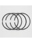 SEGMAN SETİ (STD):HATZ/E108/Z108/D108/V108 1