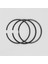 SEGMAN SETİ (STD-ÇAP:75.00 mm):LOMBARDINI/LDW 702/LDW 1003/LDW 1404 2