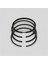 SEGMAN SETİ (0.50-ÇAP:78.50 mm):LOMBARDINI/6LD 325/LDA 520 1
