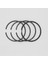 SEGMAN SETİ (0.50-ÇAP:78.50 mm):LOMBARDINI/6LD 325/LDA 520 2