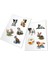 Junoo HoloToyz Sticker Pet Party AR Uyumlu Etiket 1