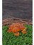Reçine Kurbağa Figürü (3x6 Cm) - 600010 3