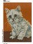 Baskılı Goblen Tablo Pano 14X18CM 921339 1