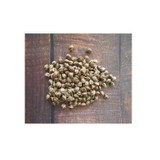 Akdeniz Ithal Moringa Oleifera Tohumu 10 Adet ( Çimlenme Garantilidir )