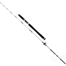 Daiwa Exceler 1,98M 7-28GR 2p Kamış
