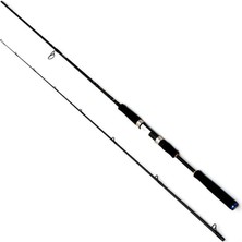 Daiwa Saltıst Ags 2.44M 14-42GR 2p Kamış