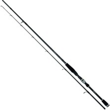 Daiwa Exceler  2,44M 7-28GR 2p Kamış