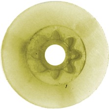 Mais Cam Kriko Makara Frezesi Ön Sol / Sağ