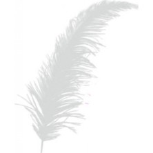 Hayaller Dükkanı Tüy Beyaz P100