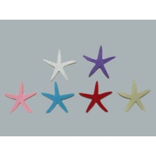 Hayaller Dükkanı Keçeden Deniz Yıldızı Lila P50