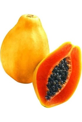 Papaya Meyvesi 10,4 kg
